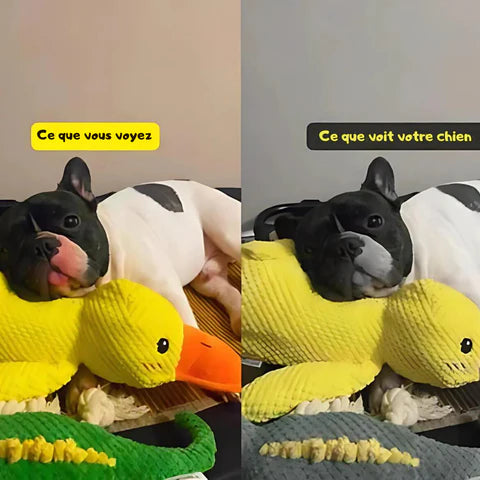 Jouet pour chien apaisant en forme de canard - Ducky Duck®